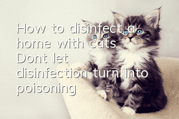 How to disinfect a home with cats? Don’t let disinfection turn into poisoning!