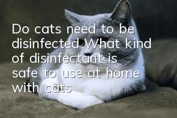 Do cats need to be disinfected? What kind of disinfectant is safe to use at home with cats?