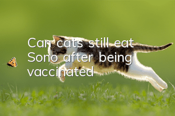 Can cats still eat Sono after being vaccinated?
