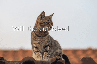 Will the cat bleed?