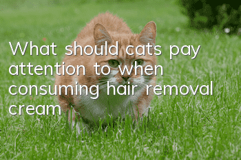 What should cats pay attention to when consuming hair removal cream?