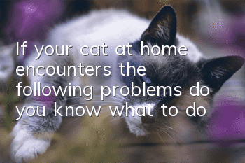 If your cat at home encounters the following problems, do you know what to do?