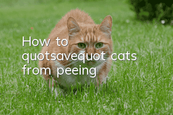 How to "save" cats from peeing