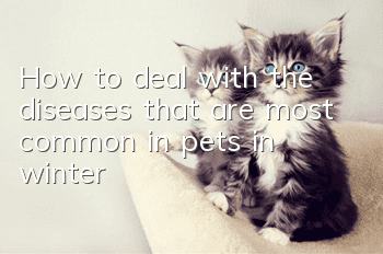 How to deal with the diseases that are most common in pets in winter?