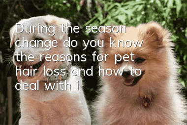 During the season change, do you know the reasons for pet hair loss and how to deal with it?