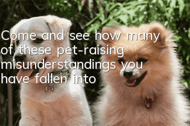 Come and see how many of these pet-raising misunderstandings you have fallen into?