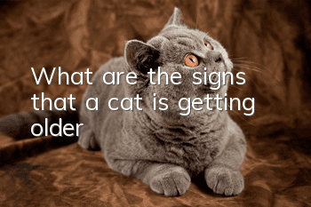 What are the signs that a cat is getting older?