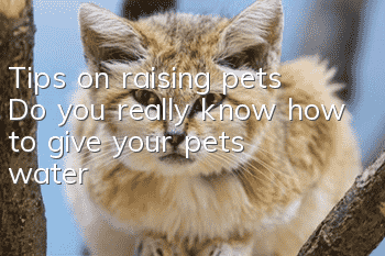 Tips on raising pets | Do you really know how to give your pets water?
