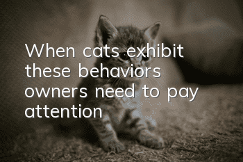 When cats exhibit these behaviors, owners need to pay attention