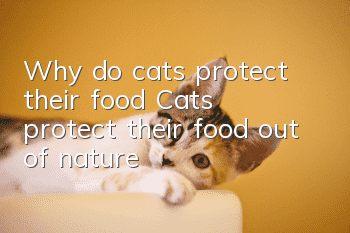 Why do cats protect their food? Cats protect their food out of nature