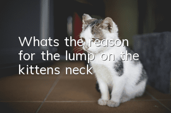 What's the reason for the lump on the kitten's neck?