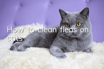 How to clean fleas on cats?