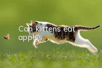 Can kittens eat apples?