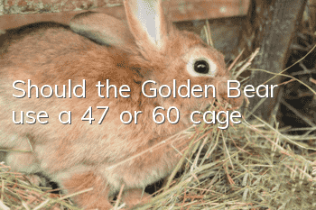 Should the Golden Bear use a 47 or 60 cage?