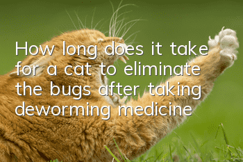 How long does it take for a cat to eliminate the bugs after taking deworming medicine?