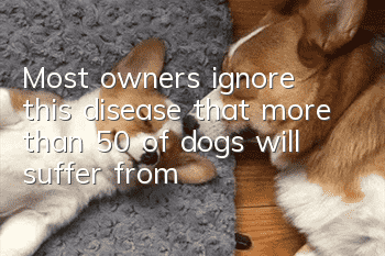 Most owners ignore this disease that more than 50% of dogs will suffer from!