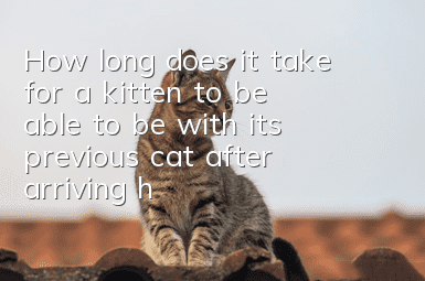How long does it take for a kitten to be able to be with its previous cat after arriving home?