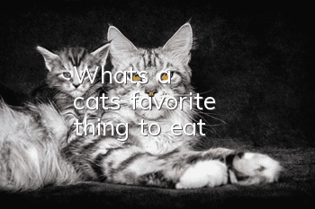 What's a cat's favorite thing to eat?
