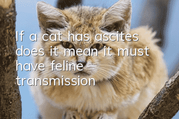If a cat has ascites, does it mean it must have feline transmission?
