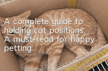 A complete guide to holding cat positions. A must-read for happy petting.