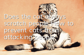 Does the cat always scratch people? How to prevent cats from attacking people?