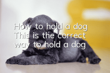 How to hold a dog? This is the correct way to hold a dog!