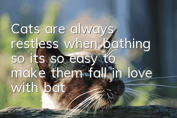 Cats are always restless when bathing, so it’s so easy to make them fall in love with bathing!