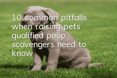 10 common pitfalls when raising pets, qualified poop scavengers need to know!