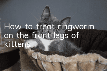 How to treat ringworm on the front legs of kittens