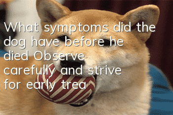 What symptoms did the dog have before he died? Observe carefully and strive for early treatment