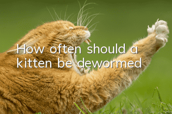 How often should a kitten be dewormed?