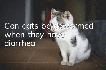 Can cats be dewormed when they have diarrhea?
