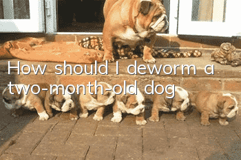 How should I deworm a two-month-old dog?