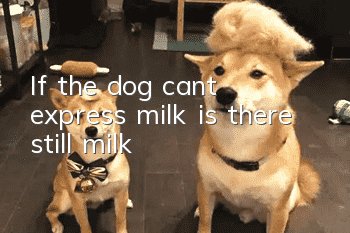 If the dog can't express milk, is there still milk?