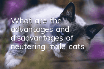 What are the advantages and disadvantages of neutering male cats?