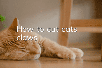 How to cut cat's claws?