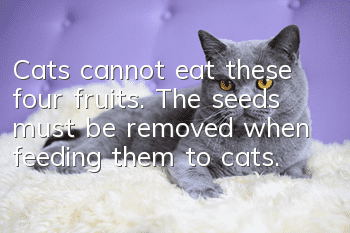 Cats cannot eat these four fruits. The seeds must be removed when feeding them to cats.
