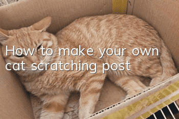 How to make your own cat scratching post?