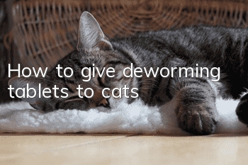 How to give deworming tablets to cats?