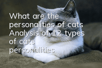 What are the personalities of cats? Analysis of 12 types of cats’ personalities