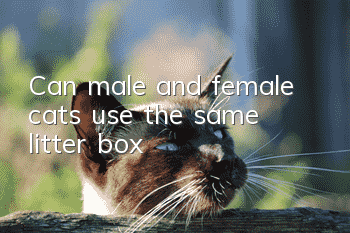 Can male and female cats use the same litter box?