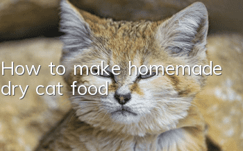 How to make homemade dry cat food