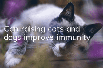 Can raising cats and dogs improve immunity?