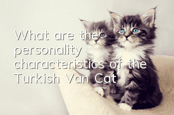What are the personality characteristics of the Turkish Van Cat?
