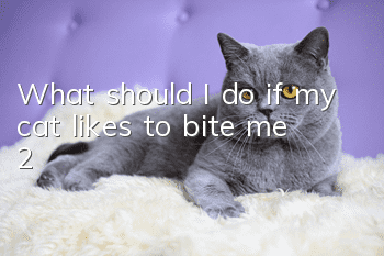 What should I do if my cat likes to bite me (2)