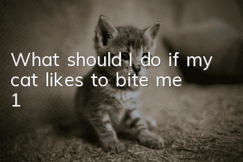 What should I do if my cat likes to bite me (1)