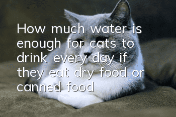How much water is enough for cats to drink every day if they eat dry food or canned food?