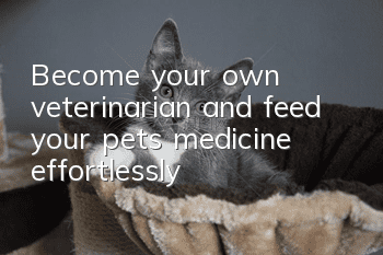 Become your own veterinarian and feed your pets medicine effortlessly