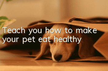 Teach you how to make your pet eat healthy