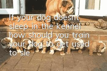 If your dog doesn’t sleep in the kennel, how should you train your dog to get used to sleeping in the kennel?